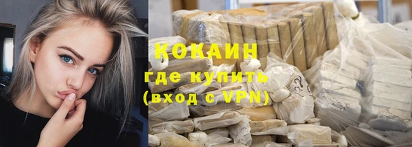 крисы Кодинск