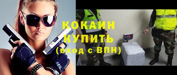 крисы Кодинск